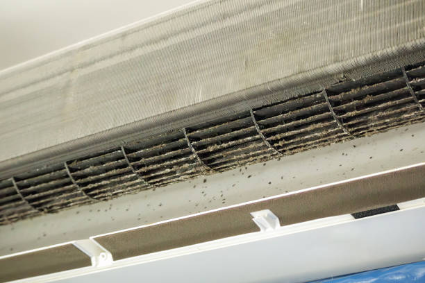 Best Best Air Duct Cleaning Company  in Sarasota Springs, FL